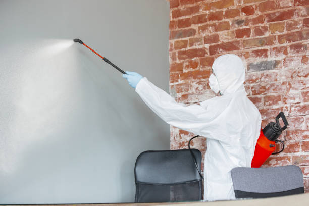 Best Airborne Mold Testing  in Burton, MI