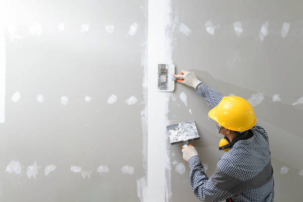Burton, MI Mold Removal Company