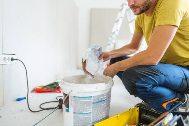 Best Mold Odor Removal Services  in Burton, MI