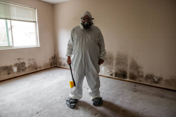 Mold Documentation for Insurance Claims in Burton, MI